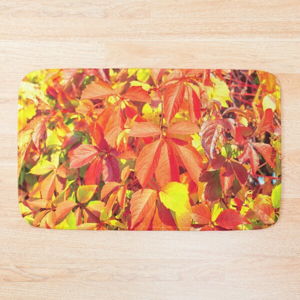 Item preview, Bright red organge Virginia creeper leaves in autumn designed and sold by lena-maximova.