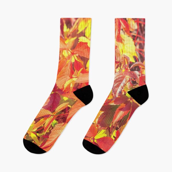 Item preview, Bright red organge Virginia creeper leaves in autumn designed and sold by lena-maximova.