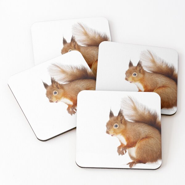 Item preview, Red squirrel against white background designed and sold by dgwildlife.