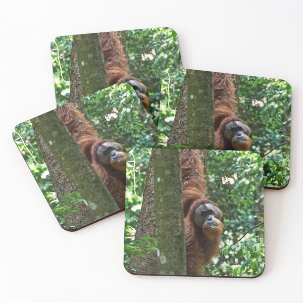 Item preview, "Chief of the area" designed and sold by Andreas Koerner.