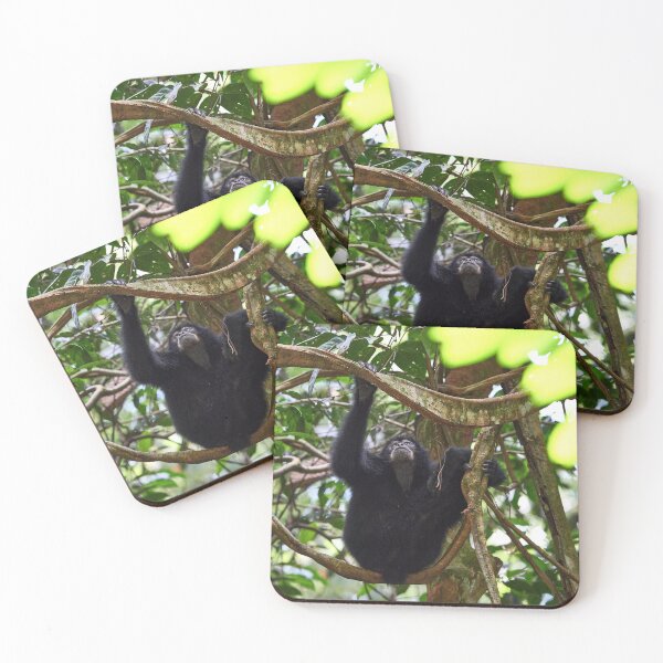 Item preview, "The Siamang family" 6 of 6 designed and sold by Andreas Koerner.