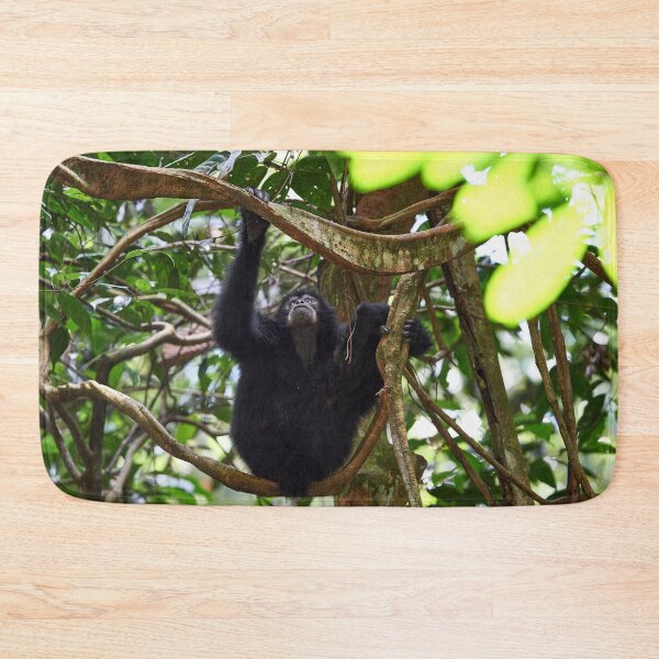 Item preview, "The Siamang family" 6 of 6 designed and sold by Andreas Koerner.