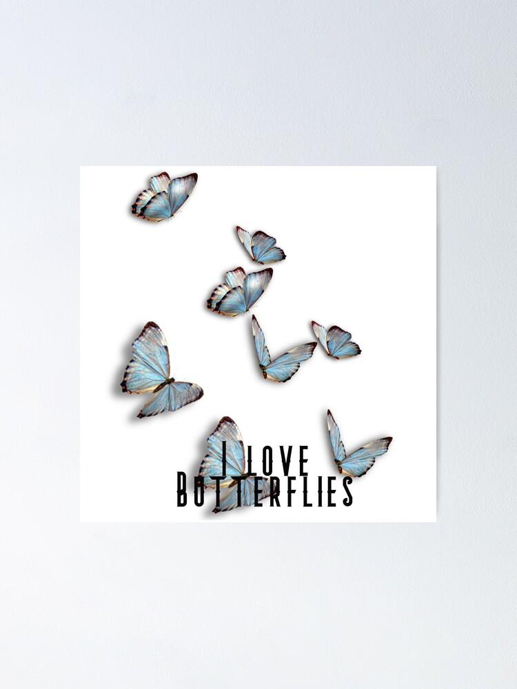 Butterflies Lovers