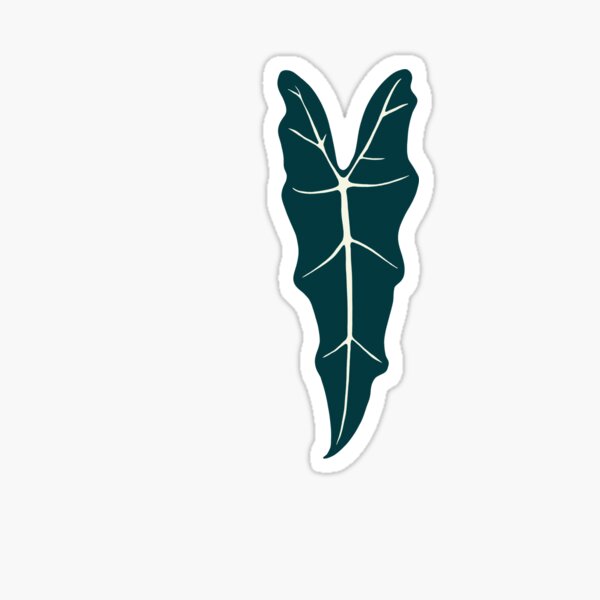 Alocasia Leaf Sticker