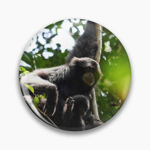 Item preview, "The Siamang family" 3 of 6 designed and sold by Andreas Koerner.