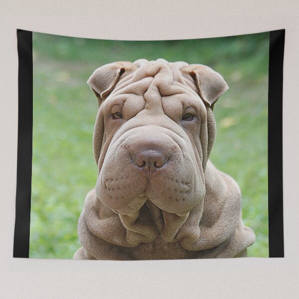 Item preview, Shar-Pei designed and sold by Denis Charmot.