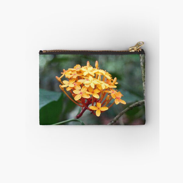 Item preview, "Ixora coccinea" designed and sold by Andreas Koerner.
