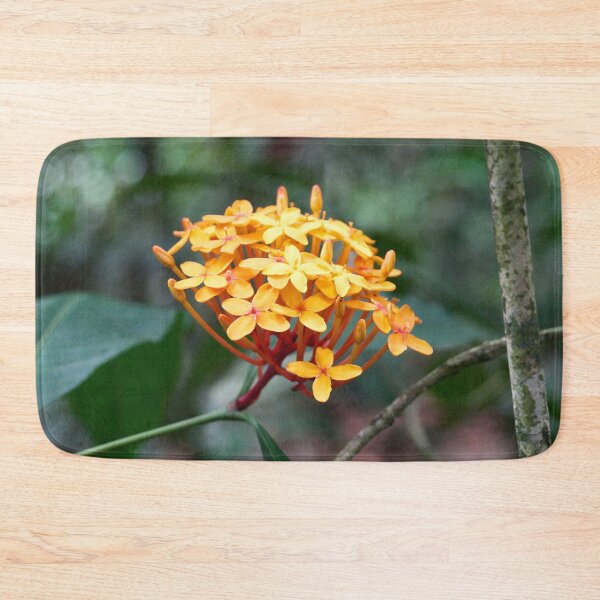 Item preview, "Ixora coccinea" designed and sold by Andreas Koerner.