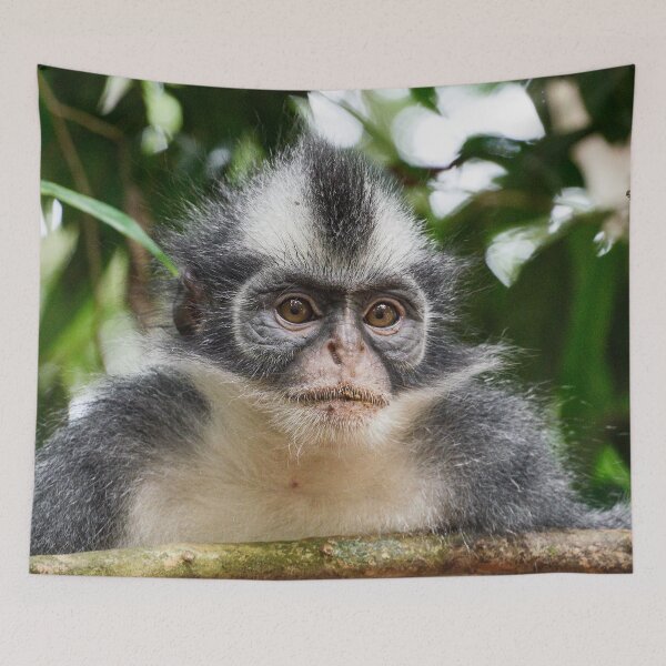 Item preview, "Funky Monkey" in portrait 4 of 5 designed and sold by Andreas Koerner.