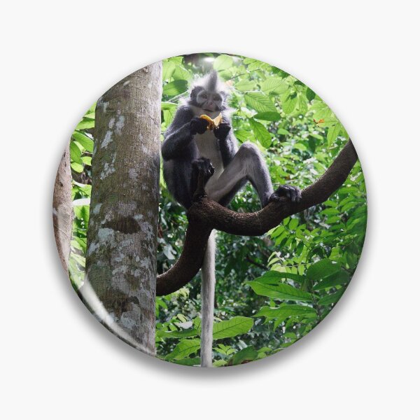 Item preview, "The art of reading a banana" staring the funky monkey! 2 of 3 designed and sold by Andreas Koerner.