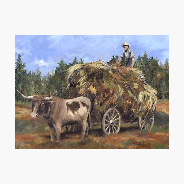 BACK IN THE HAY DAY By Kerri Kane Photographic Print