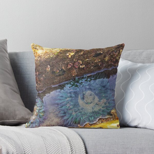 Item preview, The smile in the tide pool. designed and sold by SashaSprite.