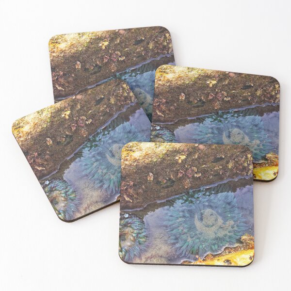 Item preview, The smile in the tide pool. designed and sold by SashaSprite.