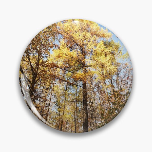Item preview, "Autumn in a Larches forest"  designed and sold by Andreas Koerner.
