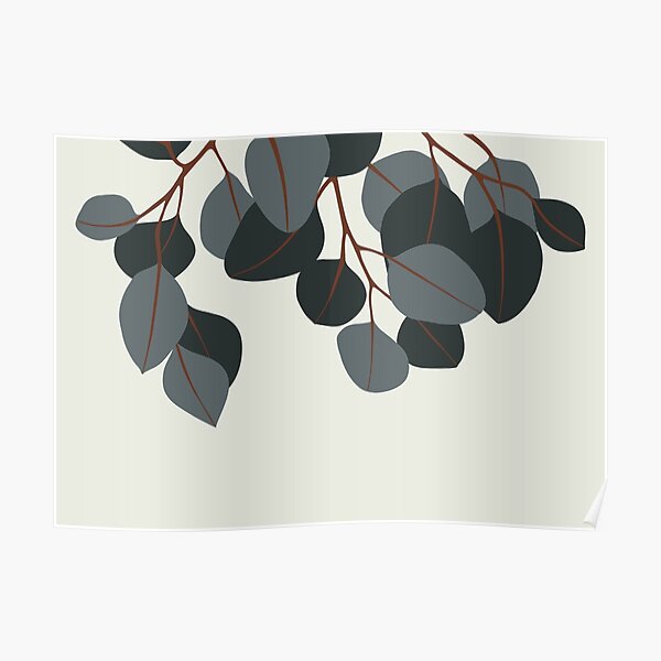 Blue Eucalyptus Branches Poster