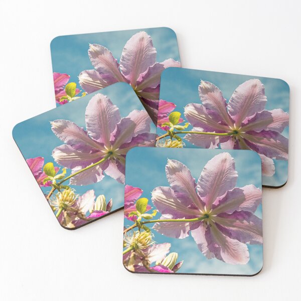 Item preview, A rose pink towering Clematis against a blue sky.  designed and sold by Cameranick.
