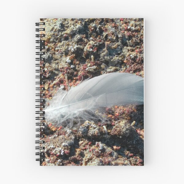 Item preview, White feather with rocks and pebbles textured background designed and sold by Ventures1.