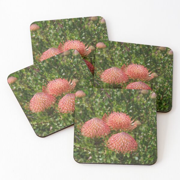 Item preview, Leucospermum Scarlet Ribbon (2) designed and sold by lezvee.