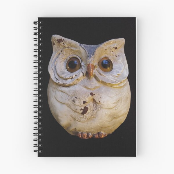 Aperçu de l'œuvre Wise Old Owl créée et vendue par Renee-LalaLeFay.