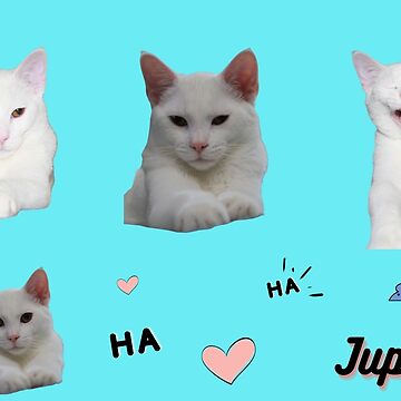 The White Cat Sticker