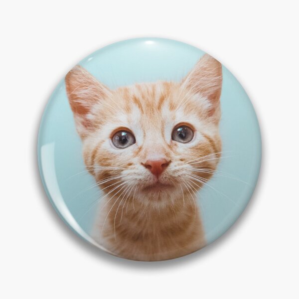 Item preview, Ginger kitten designed and sold by Alicia Scott.