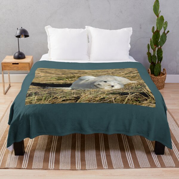 Item preview, Grey Seal Pup designed and sold by mhfore.