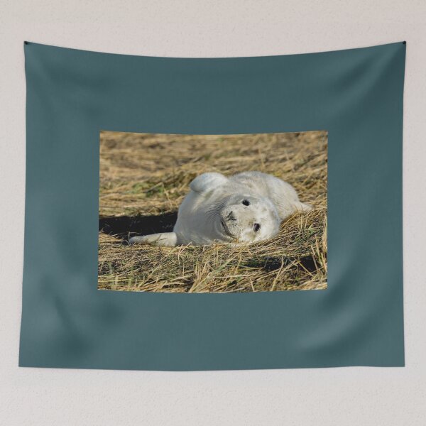 Item preview, Grey Seal Pup designed and sold by mhfore.