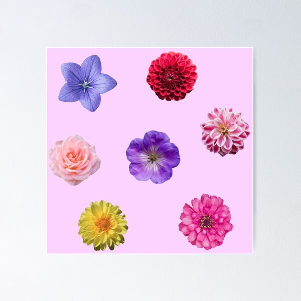 Item preview, Flower pack designed and sold by MisterMacadamia.