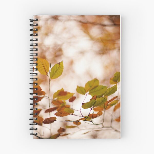 Item preview, 'Ready to fall' designed and sold by Gerard Chillcott.