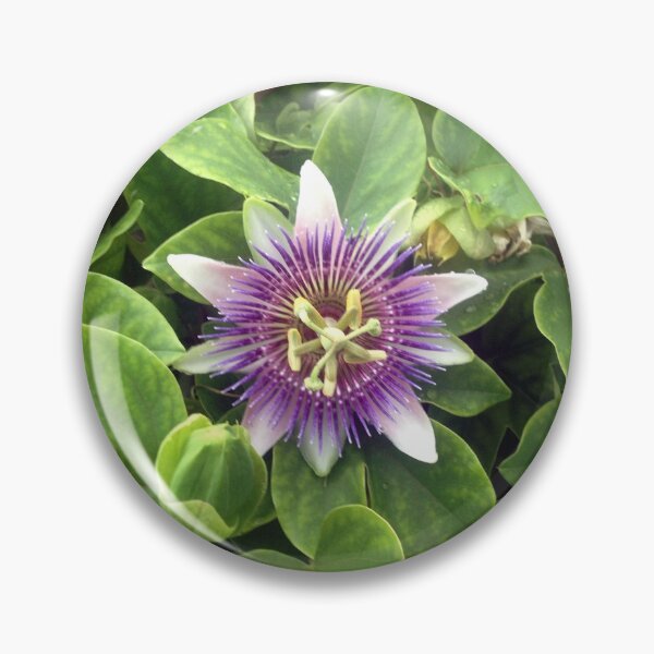 Item preview, Wild Passionflower designed and sold by MisterGroom.
