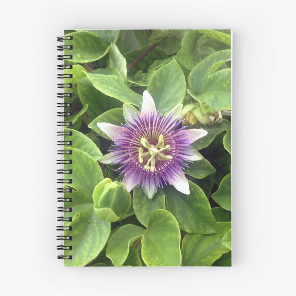 Item preview, Wild Passionflower designed and sold by MisterGroom.