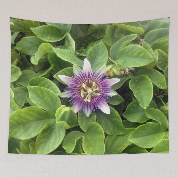 Item preview, Wild Passionflower designed and sold by MisterGroom.