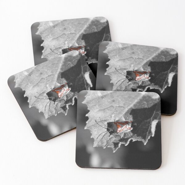 Artikelvorschau, "B & W Bronze Bug Strike" entworfen und verkauft von CloverleafArts.