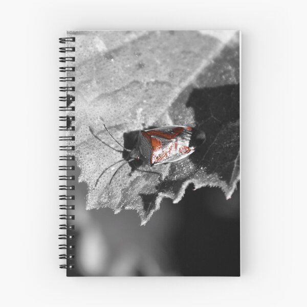 Artikelvorschau, "B & W Bronze Bug Strike" entworfen und verkauft von CloverleafArts.