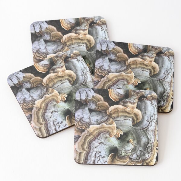 Item preview, Turkey Tail Fungus designed and sold by MisterGroom.