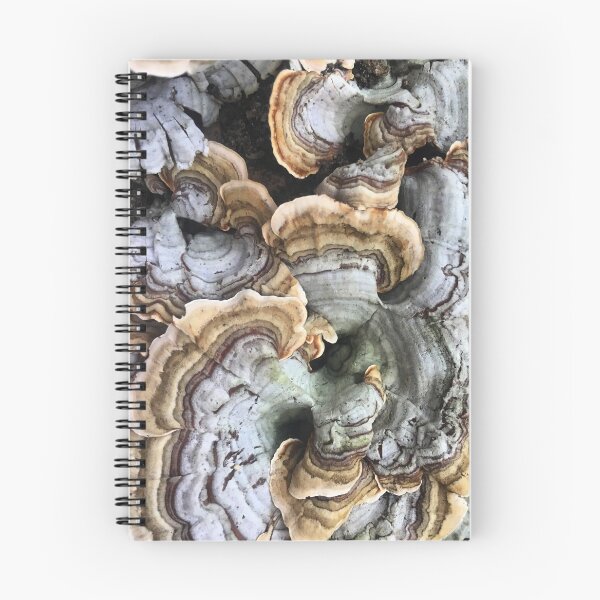 Item preview, Turkey Tail Fungus designed and sold by MisterGroom.