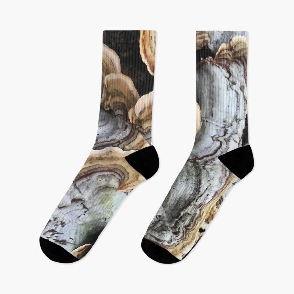 Item preview, Turkey Tail Fungus designed and sold by MisterGroom.