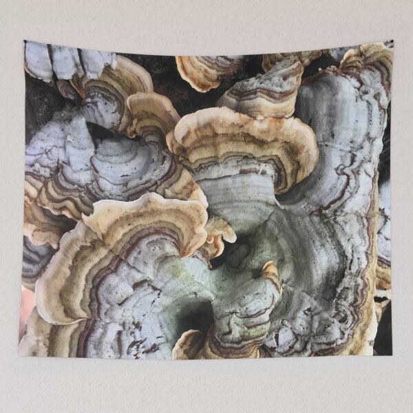 Item preview, Turkey Tail Fungus designed and sold by MisterGroom.