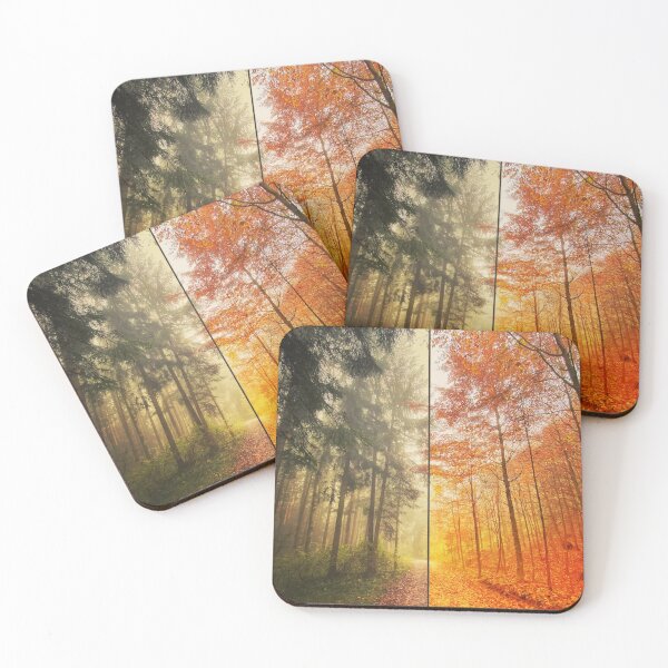 Item preview, Coniferous forest and deciduous forest in the square - autumn designed and sold by Walderfahrung.