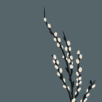 Artwork thumbnail, Winter Branches Illustration Pussy Willow by Rachel McNeil