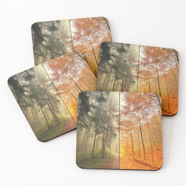 Item preview, Coniferous forest and deciduous forest - autumn designed and sold by Walderfahrung.