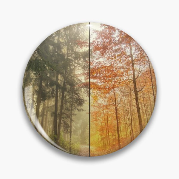 Item preview, Coniferous forest and deciduous forest - autumn designed and sold by Walderfahrung.