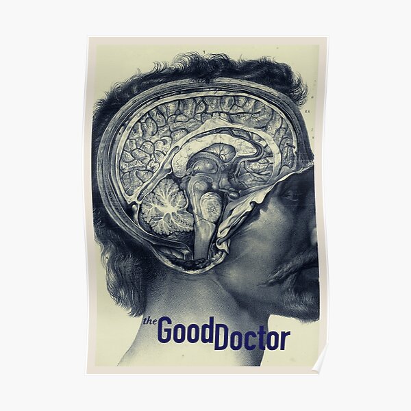 100+] The Good Doctor Wallpapers | Wallpapers.com