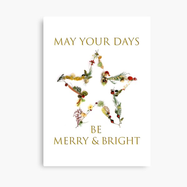 Holiday Cheer Canvas Print