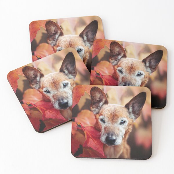 Item preview, Toby designed and sold by hadissima.