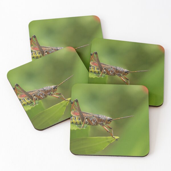 Item preview, 'Grasshopper' designed and sold by Gerard Chillcott.