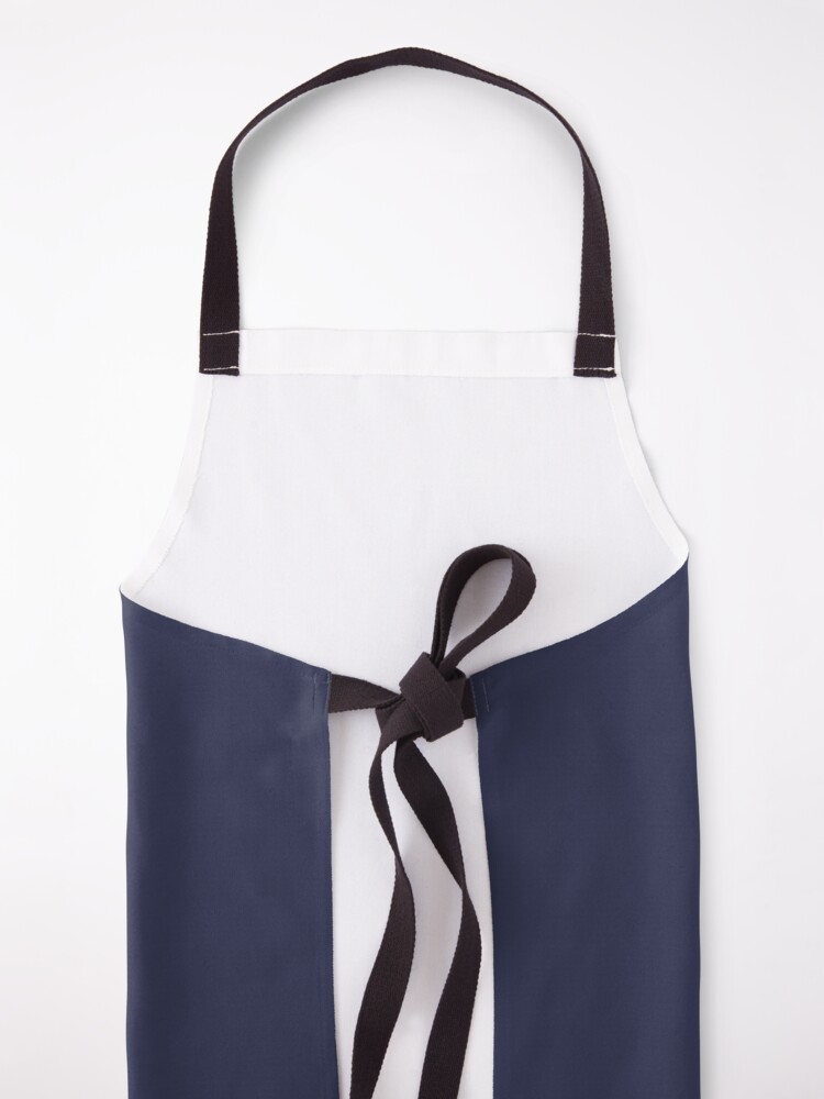 Alternate view of Survey Corps Apron
