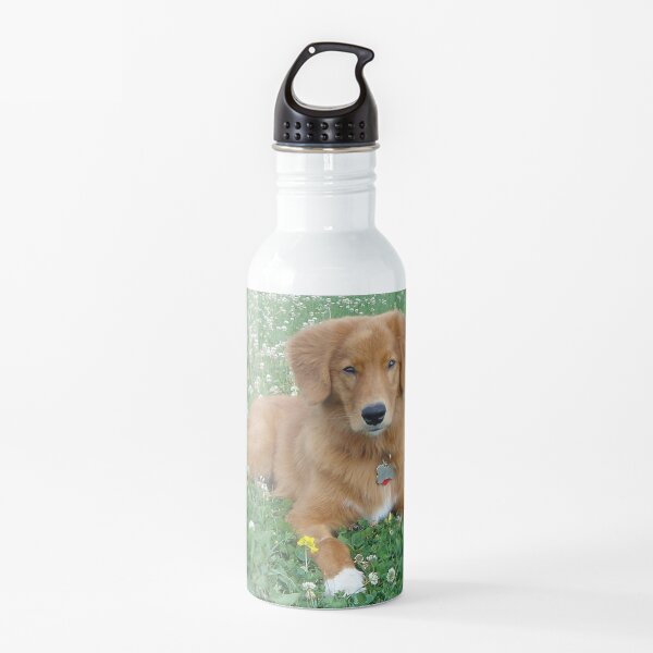 nova scotia pato peaje retriever en trébol Botella de agua