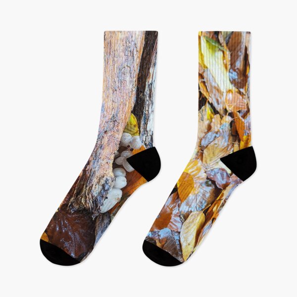 Item preview, Autumn Tree Walk Wet Log Mushrooms designed and sold by art-fox.