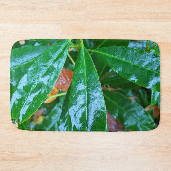 Item preview, Autumn Tree Wet Leaf designed and sold by art-fox.